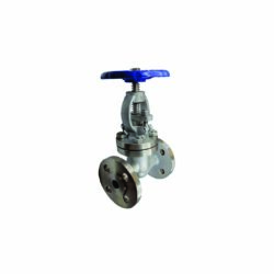 Válvula Globo Flangeada em Aço Inox 304